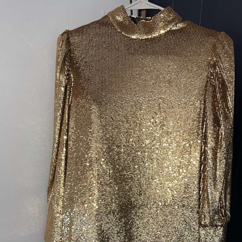 ALC Glitter Dress